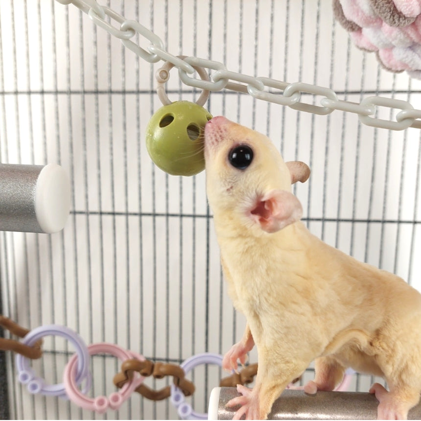 金属素材不使用、モモンガ用おもちゃ「アクティベル 4個」