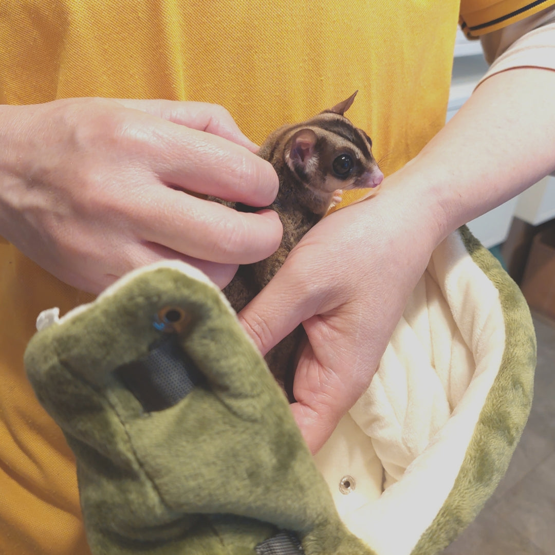 モモンガハウスじゃない, モモンガを触る新しい方法 「モモさわロール」ペット用ヒーター設置OK(モモンガポーチ)