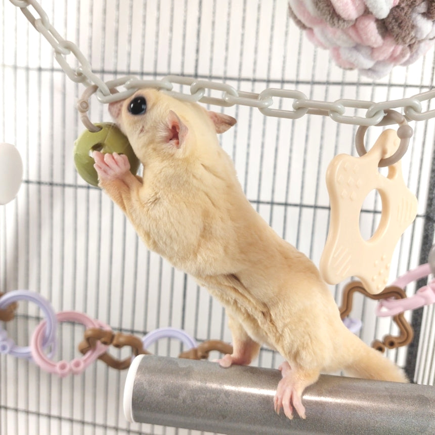 金属素材不使用、モモンガ用おもちゃ「アクティベル 4個」