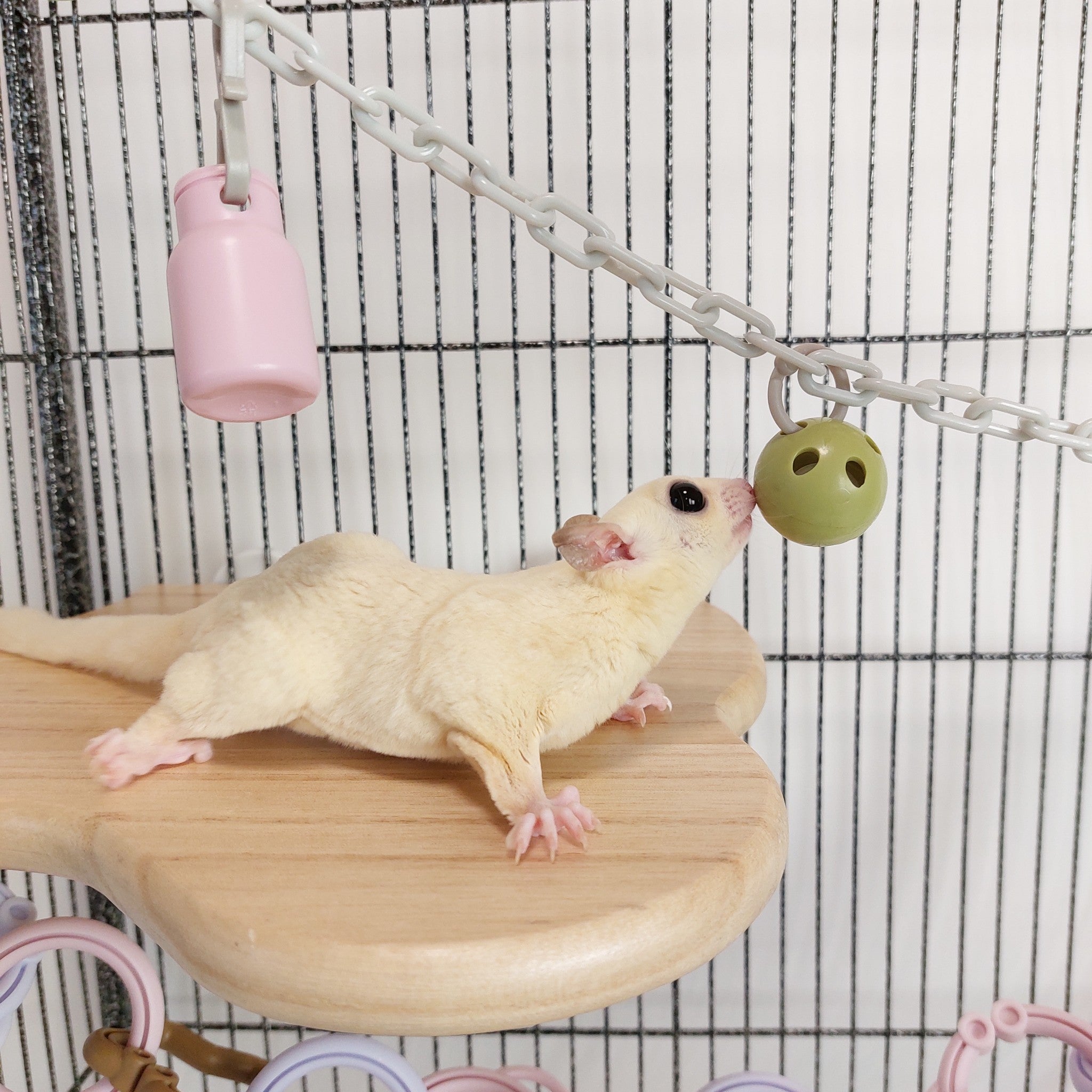 金属素材不使用、モモンガ用おもちゃ「アクティベル 4個」