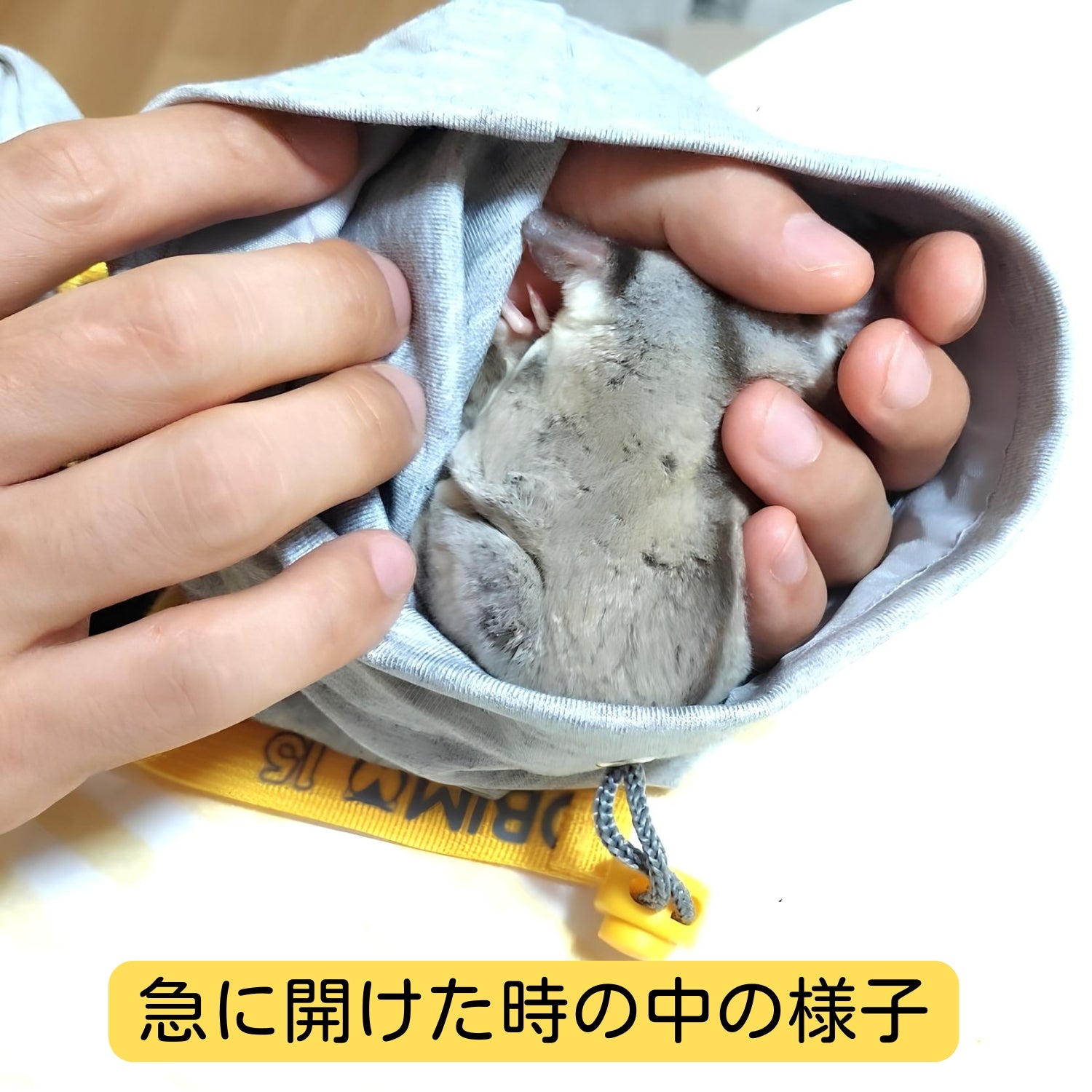 【NEW】日本初,モモンガ式で懐くおくるみ『モモンガウェイ』(一撃でモモンガをベタ慣れにする方法)