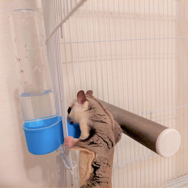 タフクリーンモモンガ給水器、故障NO!汚れNO!