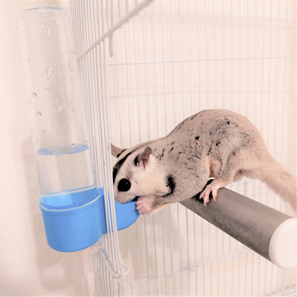 タフクリーンモモンガ給水器、故障NO!汚れNO!