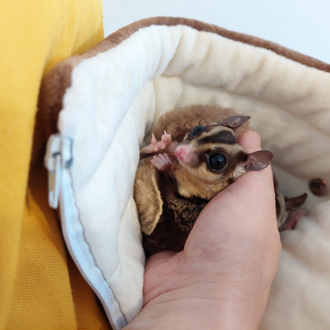 モモンガハウスじゃない, モモンガを触る新しい方法 「モモさわロール」ペット用ヒーター設置OK（モモンガポーチ）