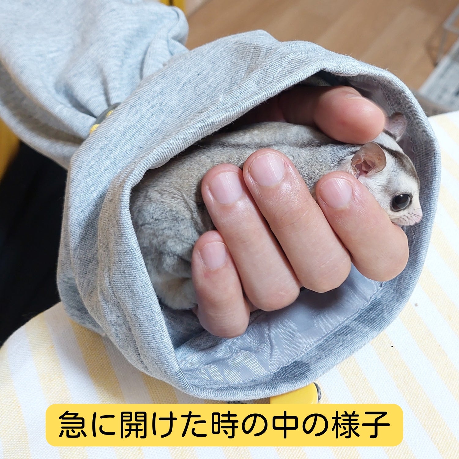 日本初、モモンガ式で懐くおくるみ『モモンガウェイ』(モモンガハウス