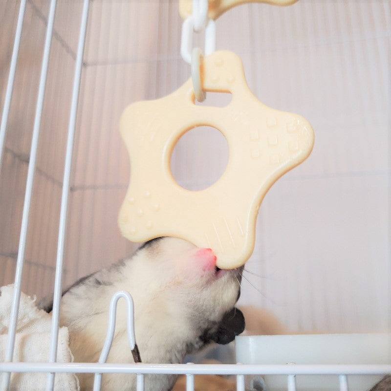 モモンガおもちゃ｜知育・かじり・ストレス発散アイテム – のびも15